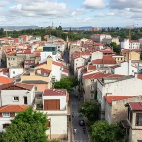 obras do MUVI